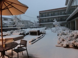 180122_雪景色(深沢)