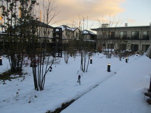 180126_雪化粧(石神井)