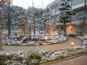 180126_雪景色（仁川）