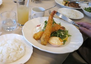180225_ロイスダール(薬師)