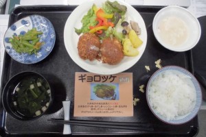180126_ギョロッケ（明石）