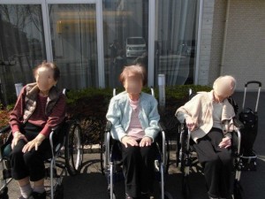 180328_ひなたぼっこ（尾上の松）