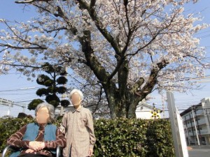 180401_散歩（郡山九条）