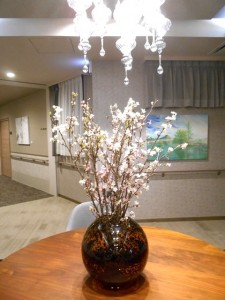 180401_桜の季節（目白）