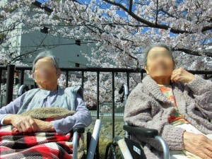 180401_花見（用海町）
