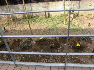 180402_園芸レク(狛江)