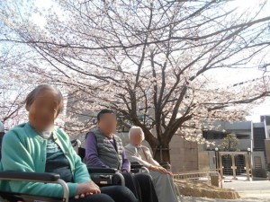 180310_花見（摩耶）