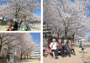 180330_お花見（鶴見）