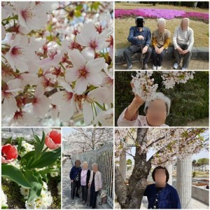 180401_花見（仁川）