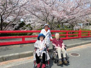 180402_お花見（南いばらき）