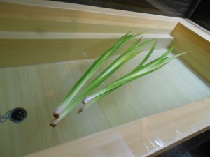 180505_菖蒲湯を楽しんでいただきました(目白)