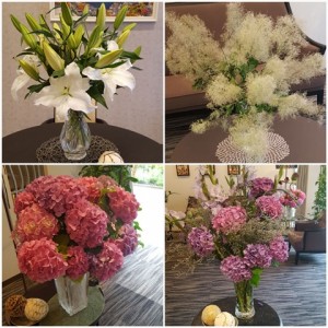 180610_ホームのお花（仁川）