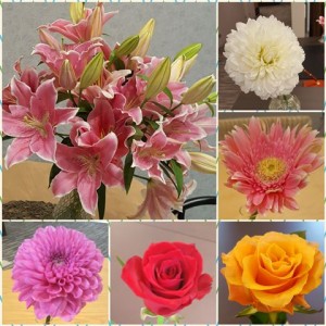 181003_ホームのお花（仁川）