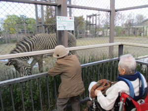 181027_京都動物園（山科）