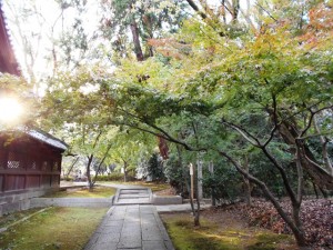 181030_紅葉の下見（向日町）