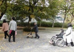 181118_紅葉狩り（新宿）