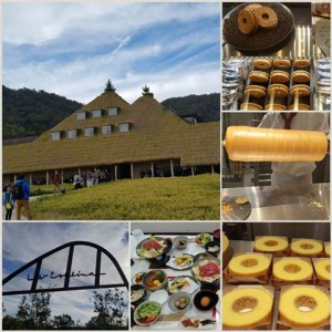 ◆◆181107_チャームツア-(仁川）
