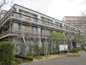 190314_2018年台風21号復旧工事始まりました。（チャームスイート西宮浜）