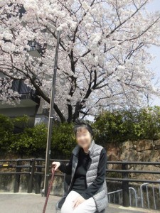 190401_お花見（チャームスイート京都桂坂）