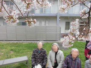 190401_桜・花見（チャーム南田辺） (4)