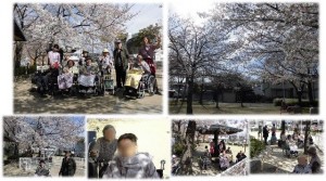 190404_お花見第２日目（チャーム鶴見緑地）