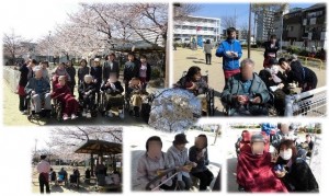 190405_お花見第３日目（チャーム鶴見緑地）