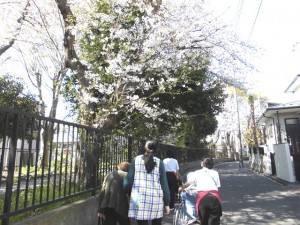 190401_お散歩（狛江）