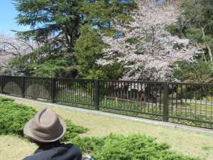 190401_お花見イベント（目白）