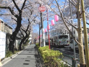 190401_お花見散歩（弐番館）