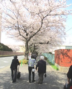 190404_お花見（石神井公園）