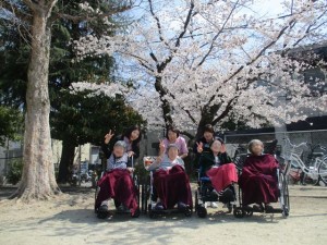 190405_お花見お散歩（チャームスイート京都桂川）