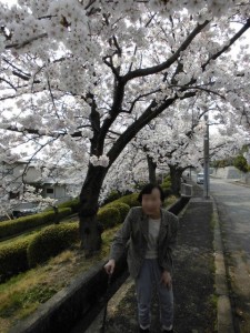 190405_お花見（チャームスイート宝塚中山）