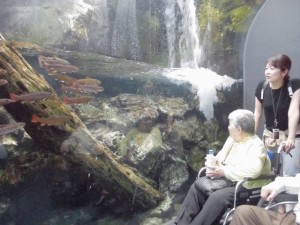 190513_京都水族館とリーガロイヤルホテル京都でのランチバイキング（チャーム枚方山之上）