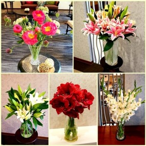 190522_５月館内のお花（チャームスイート仁川）