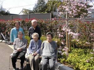 190405_花見（チャーム長岡天神）