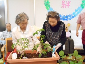 190607_『夏野菜作り』（チャームヒルズ豊中旭ヶ丘）