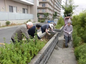 190615_草むしり（チャーム長岡京）