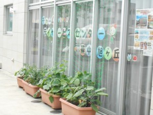 190701_夏野菜（チャームヒルズ豊中旭ヶ丘）