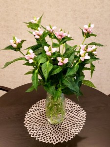 190719_館内の生花⑤（チャームスイート仁川）
