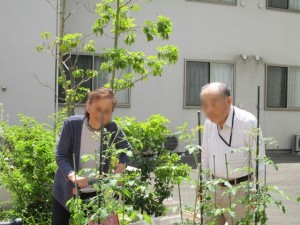 190715_トマトときゅうり（チャーム四條畷）