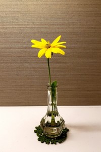 190811_8月館内のお花パートⅡ-④（チャームスイート仁川）