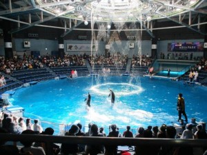 190724_チャームツアー(石神井公園)