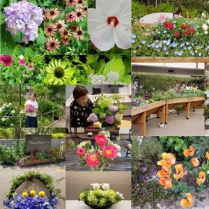 191010_チャームスイート仁川お花シリーズ①（チャームスイート仁川）