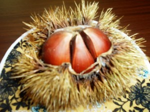 190926_秋の味覚(永福)