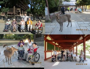 191016_チャームツアー【奈良公園】（チャームスイート神戸北野）