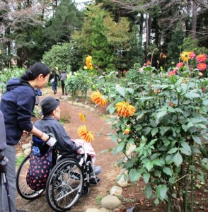 191113_チャームツアー(石神井公園)