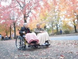 191123_『紅葉外出』（チャームデイサービスセンター豊中旭ヶ丘）