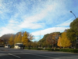 191205_外出レク～紅葉～(永福)