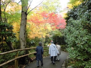 191210_東京観光①(弐番館)