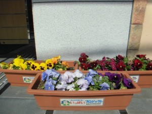 200214_地域の交流「花いっぱい運動」（チャームスイート緑地公園）
